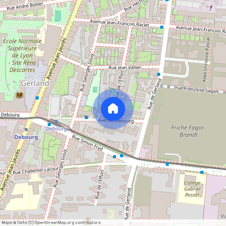 29 RUE DE L EFFORT, 7EME, Lyon