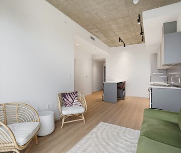 530 Rue Saint-Hubert apartment — Montréal, QC (1-Bedroom) - 1 Bedroom - Photo 3