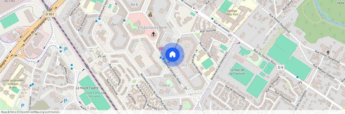 041 RUE DUMONT D'URVILLE, 51100, Reims