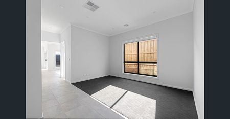 Brand New Family Property - Photo 3