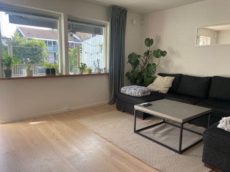 Palanders väg, Vega - Photo 3