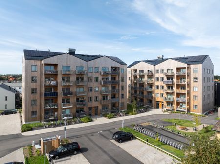 Lupingatan, Höganäs - Foto 2