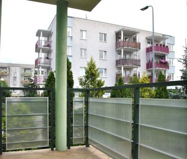 Na wynajem - mieszkanie 66,46 m - Zdjęcie 5