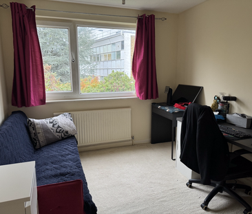 3 bedroom detached house to rent - Photo 6