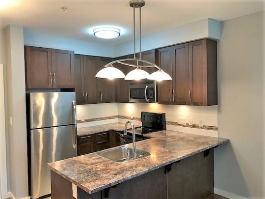 THURSTON APTS - 407 - T407 - Photo 1