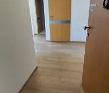 ERSTBEZUG NACH SANIERUNG | Helle 2-Zimmer-Wohnung inkl. Garage | U1-Nähe - Foto 3