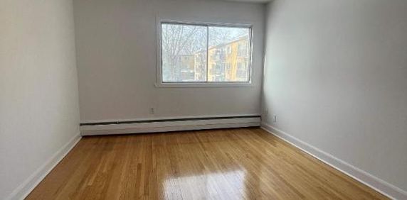 1 CH - 1 SDB - Montréal - $1,300 /mo - Photo 2