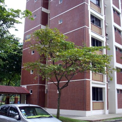 Blk 131 Choa Chu Kang Avenue 1 (Choa Chu Kang), HDB 5 Rooms - For Rent - Photo 1