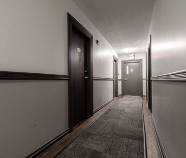 56 Maitland Street - Photo 1