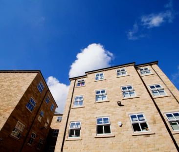 Classic Smaller Studio - Photo 5