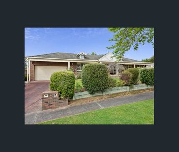 Freshly Updated Family Home in a Convenient Location - Photo 6