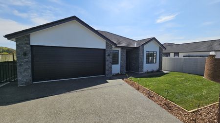 Brand New Build in Havelock North! - Photo 4