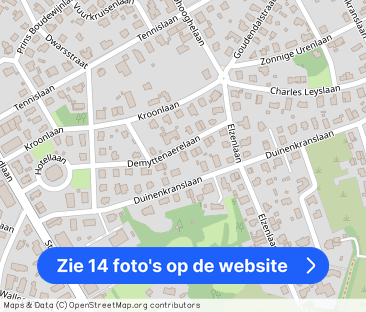 Gelijkvloerse woning met residentiële ligging. - Foto 1
