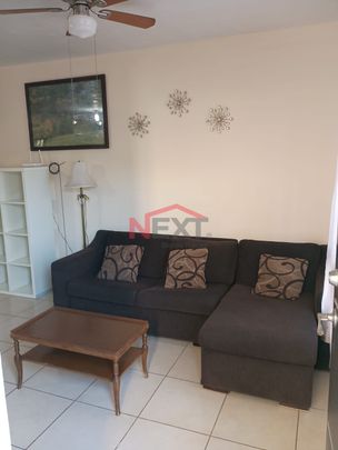 CASA EN RENTA AMUEBLADA AL ORIENTE FRACCIONAMIENTO MARAVILLAS - Foto 1