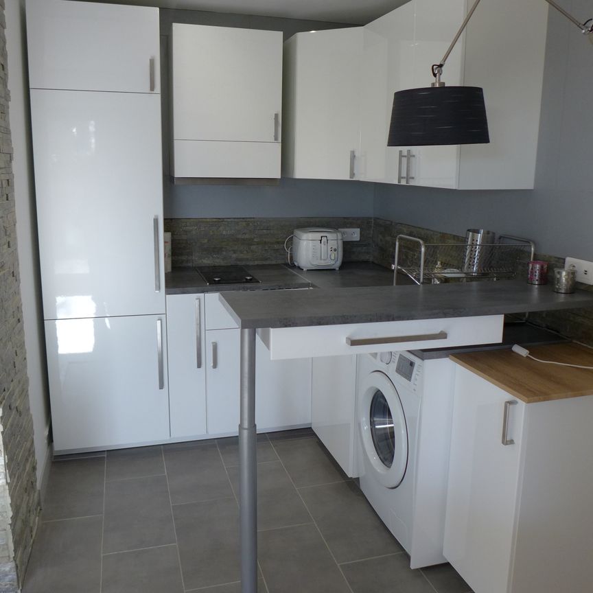 Location appartement meublé 2 pièces 46 m² en résidence Hespérides à Nogent sur Marne (94130) - Photo 1