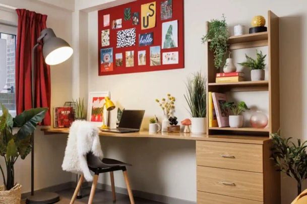 Double Wheelchair Accessible Studio - Photo 1