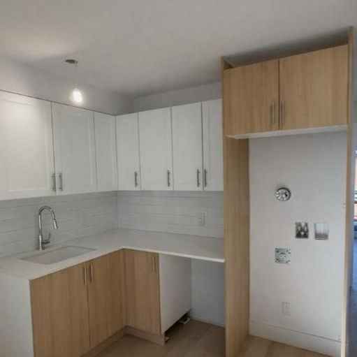 3 1/2 - Montréal (Centre-Sud) - 1 395 $/mois - Photo 1