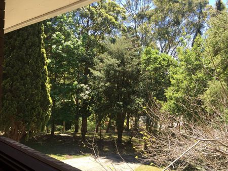 3-bedroom shared house, Cosgrove Ave - Photo 5