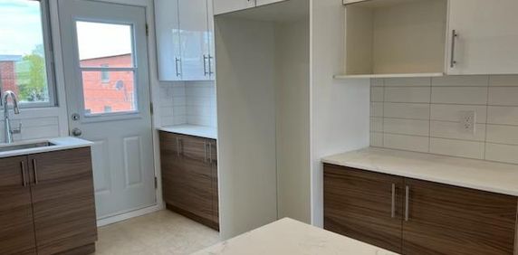 LaSalle - Magnifique 5 ½ Entièrement Rénové avec électroménager - Photo 2