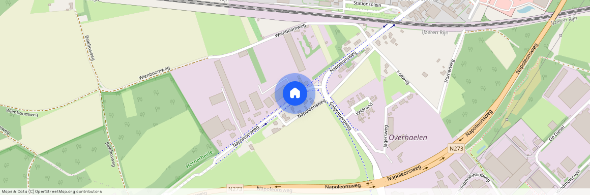 Napoleonsweg, 6081AA Haelen