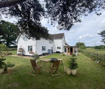 3 bedroom detached house to rent - Photo 3