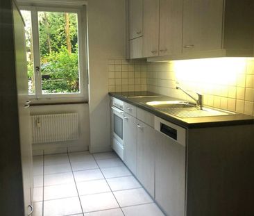 In the middle of the city, in the middle of life - Foto 4