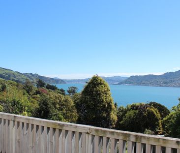 29 Marion Street, Macandrew Bay, Dunedin - Photo 6