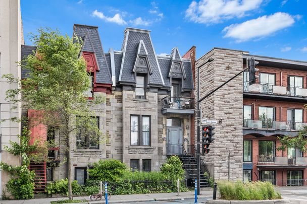 4614 Rue St Denis, Montréal (Le Plateau-Mont-Royal), QC H2J - Photo 1