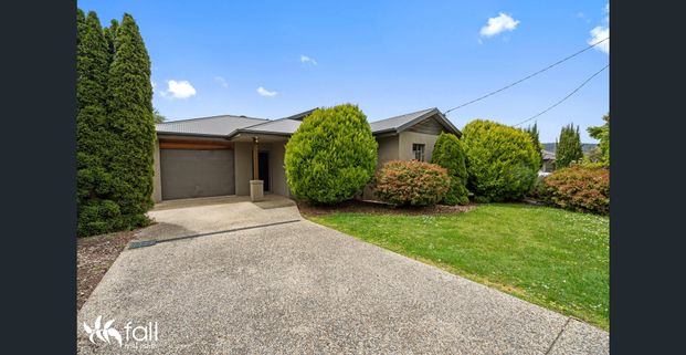 Bright and Sunny - Photo 1