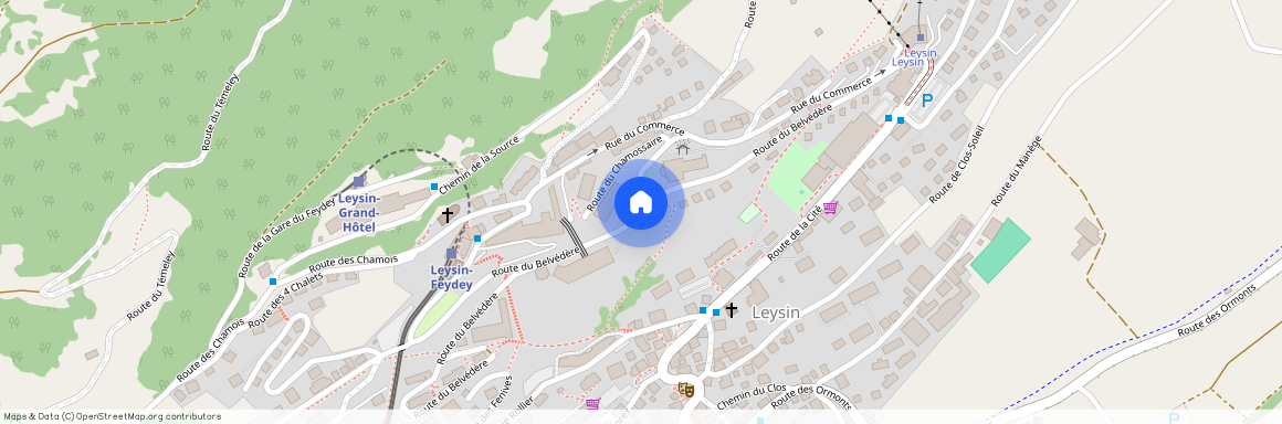 Route Du Belvédère, 1854 Leysin