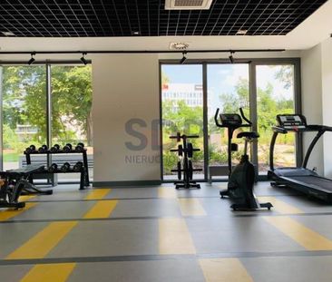 Przytulne mieszkanie przy rzece/Centrum - Zdjęcie 5