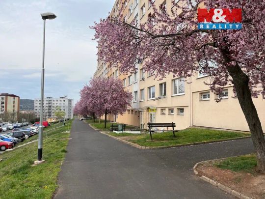 Podnájem bytu 1+kk, DV, 33 m - Photo 1