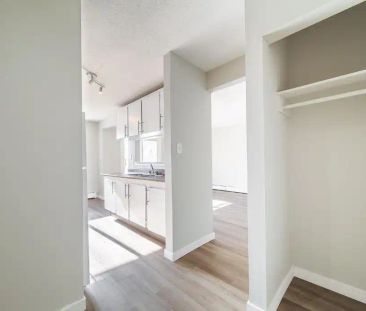 3312 105 AV NW — 1 Bedroom - Photo 1
