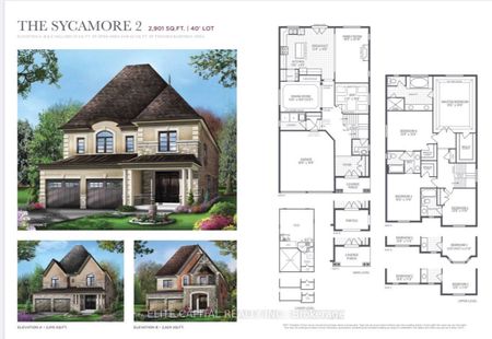 For Lease - 242 Touch Gold Crescent, Aurora, Ontario - Photo 5