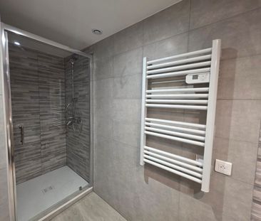 Location Appartement 3 pièces 50m² DANNEMARIE 68210 - Photo 6