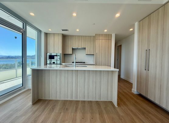 Spacious 2 Bdrm Brand New: Downtown Kelowna ONE MONTH FREE! - Photo 1