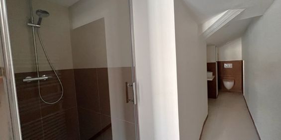 STUDIO A LOUER - LYON 2EME ARRONDISSEMENT - 33.79 m2 - 995 € charges comprises par mois - Photo 3