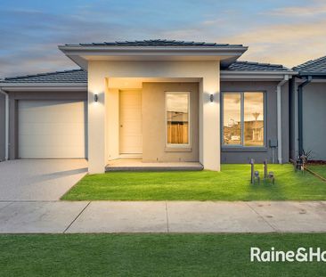 Four-bedroom house in Cranbourne South! - Photo 3