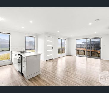 Stylish & Spacious Living in Cranley - Photo 3