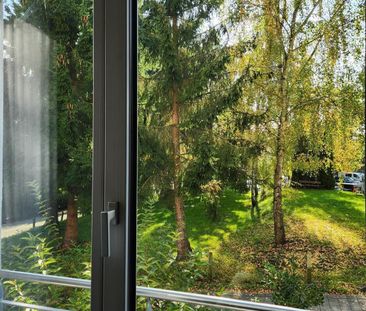 41/2-ROOM APARTMENT IN KÜSSNACHT AM RIGI (SZ), FURNISHED, TEMPORARY - Photo 4