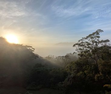 Hornsby Heights - Photo 3