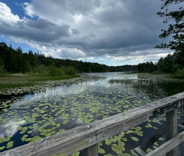 Grusåsgränd, Enskededalen - Photo 3