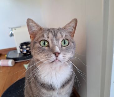 Blodstensvägen, Uppsala - Foto 3