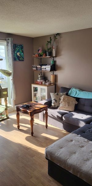 Appartement 1 Chambres à Louer - Photo 1