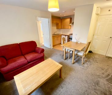 1 Bedroom - Photo 2