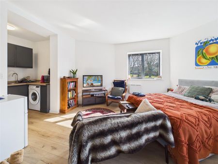0 bedroom Studio flat to rent - Photo 4