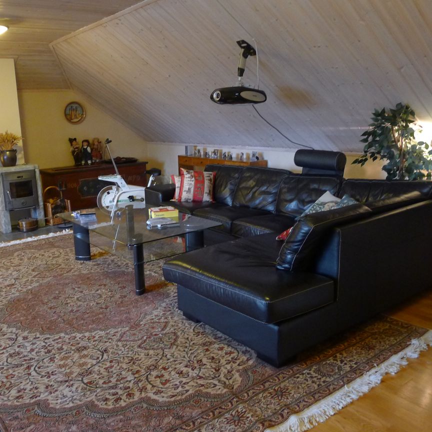 En oas i Djursholm - Foto 1