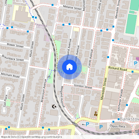 12 Reynolds Ave, Bankstown