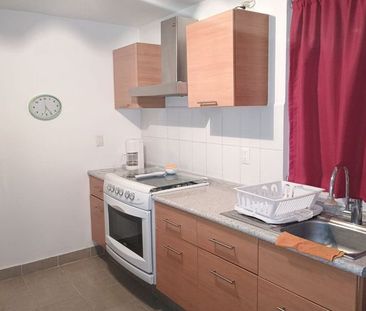 Departamento Amueblado en Renta | Rincón de la Montaña - Photo 4