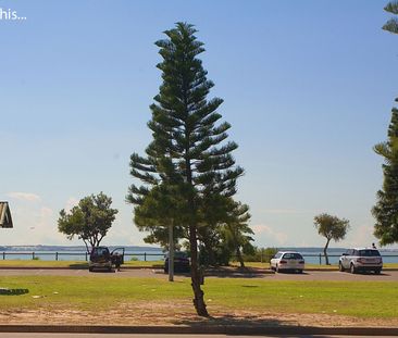 Spacious Monterey Beachfront Apartment - Photo 5